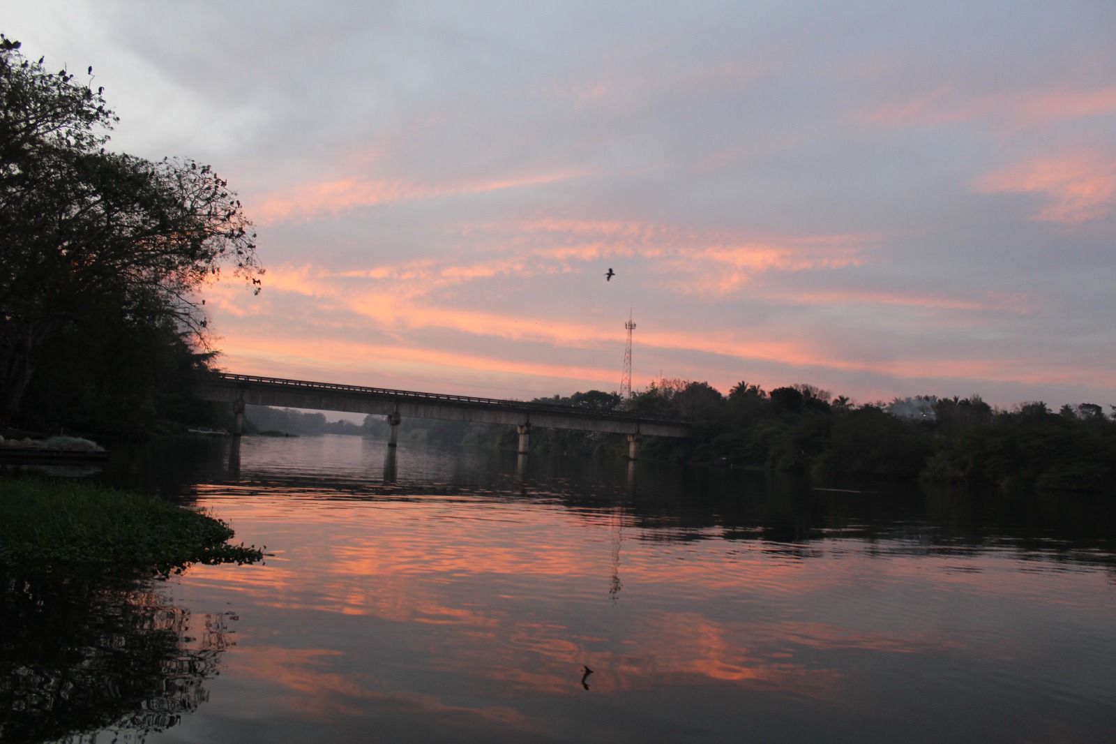 Muestreo científico